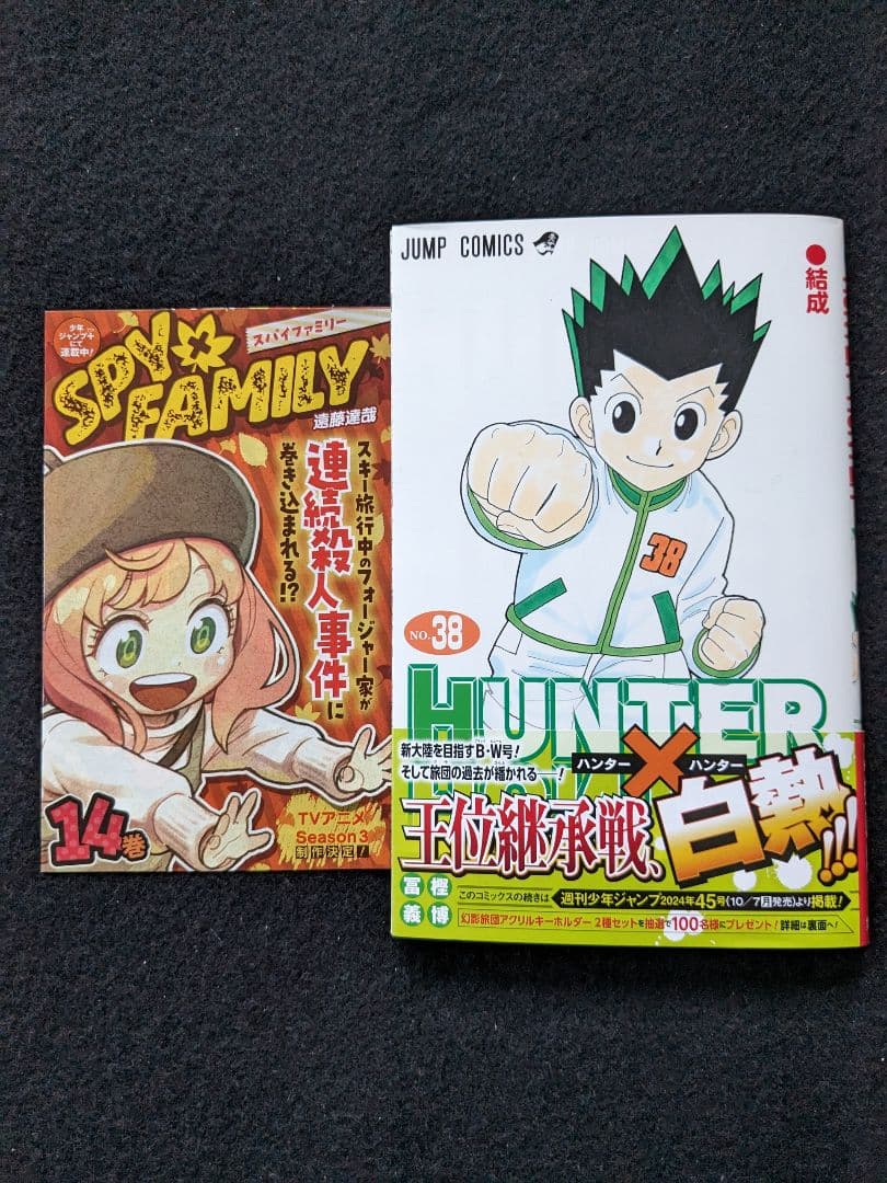 HUNTER×HUNTER ハンター×ハンター　1-38巻　富樫義博　初版本