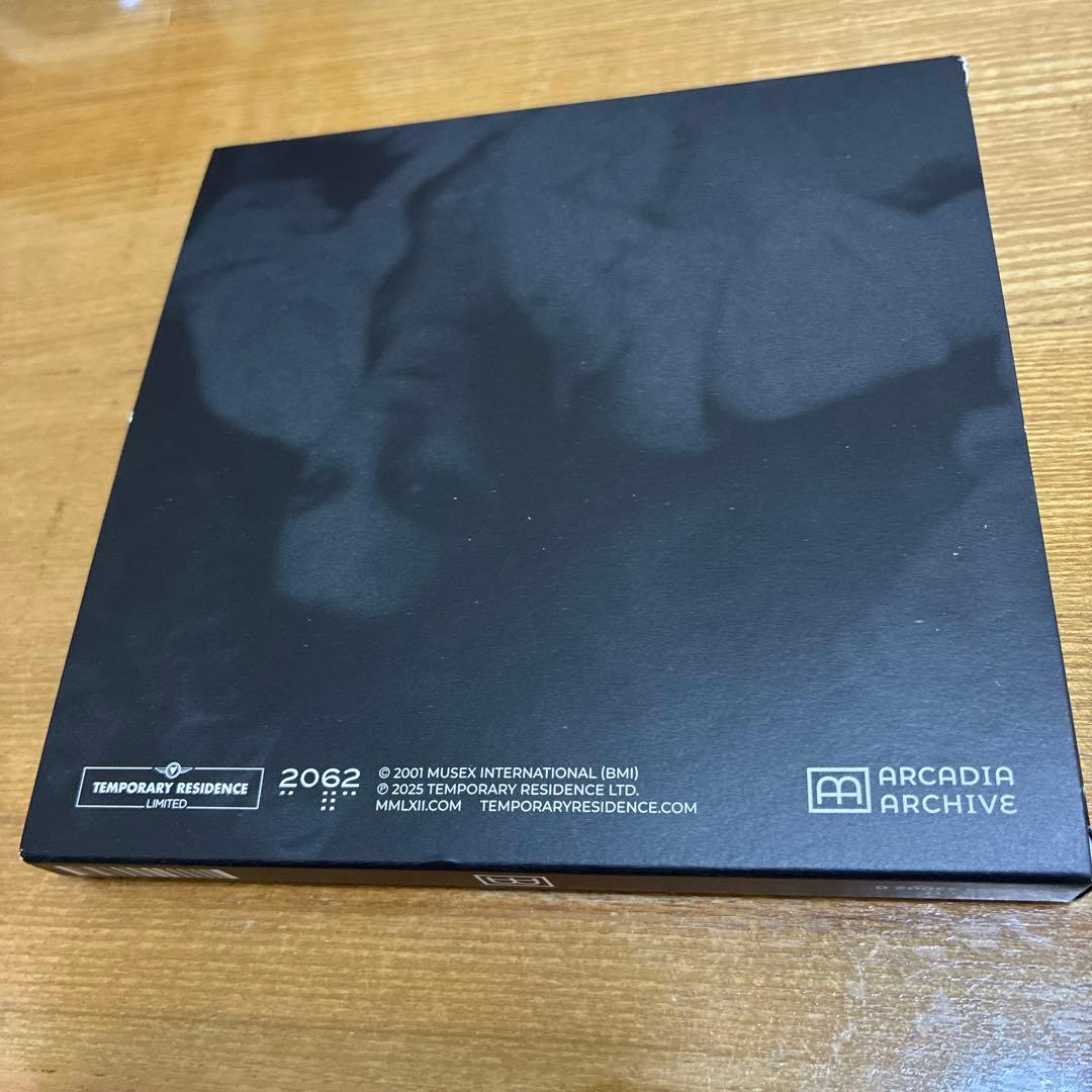 バシンスキー The Disintegration Loops