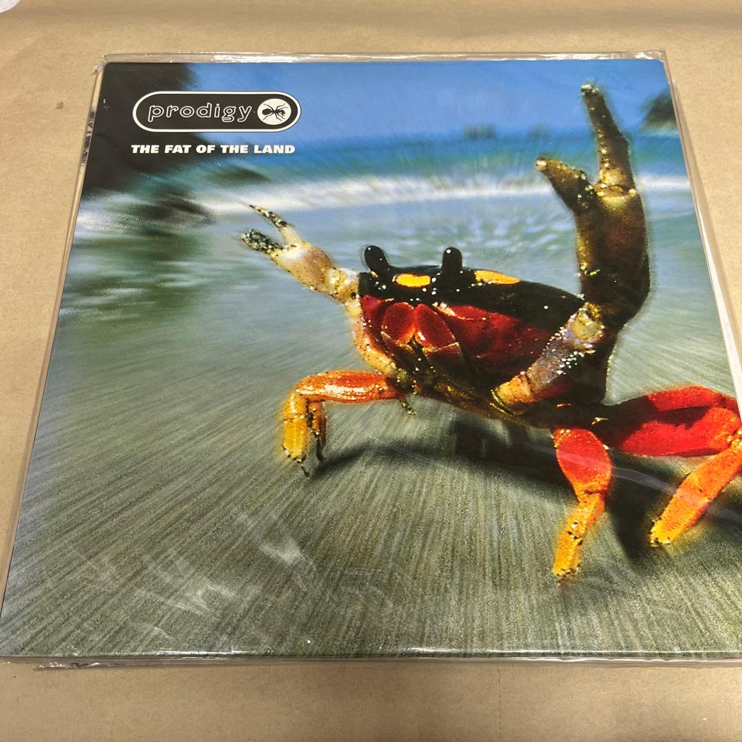 【希少】Tbe Prodigy/The Fat of the Land レコード