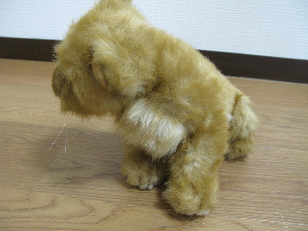 仔ライオンのぬいぐるみ【BESTEVER】体長41cm　ベストエバー