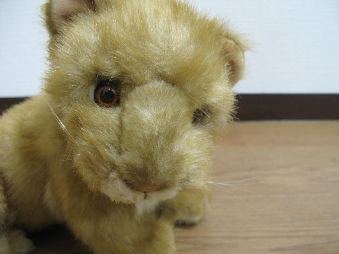 仔ライオンのぬいぐるみ【BESTEVER】体長41cm　ベストエバー