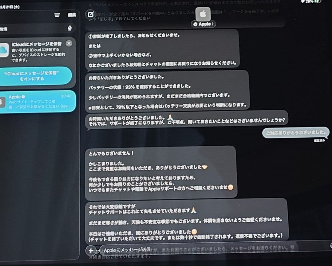 最終日 iPad Pro 12.9 第3世代 256GB ＋ApplePencl