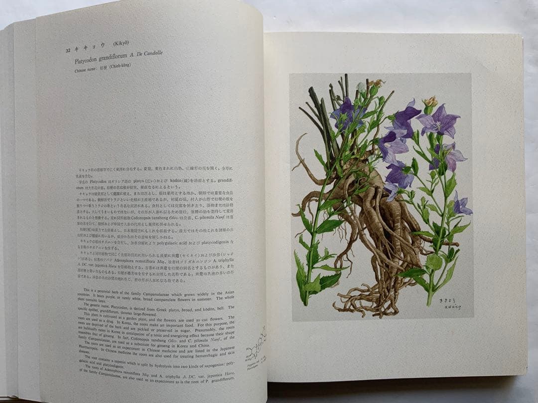 『薬用植物画譜』小磯良平文化勲章受賞記念　武田薬報表紙絵150点　刈米達夫　大型