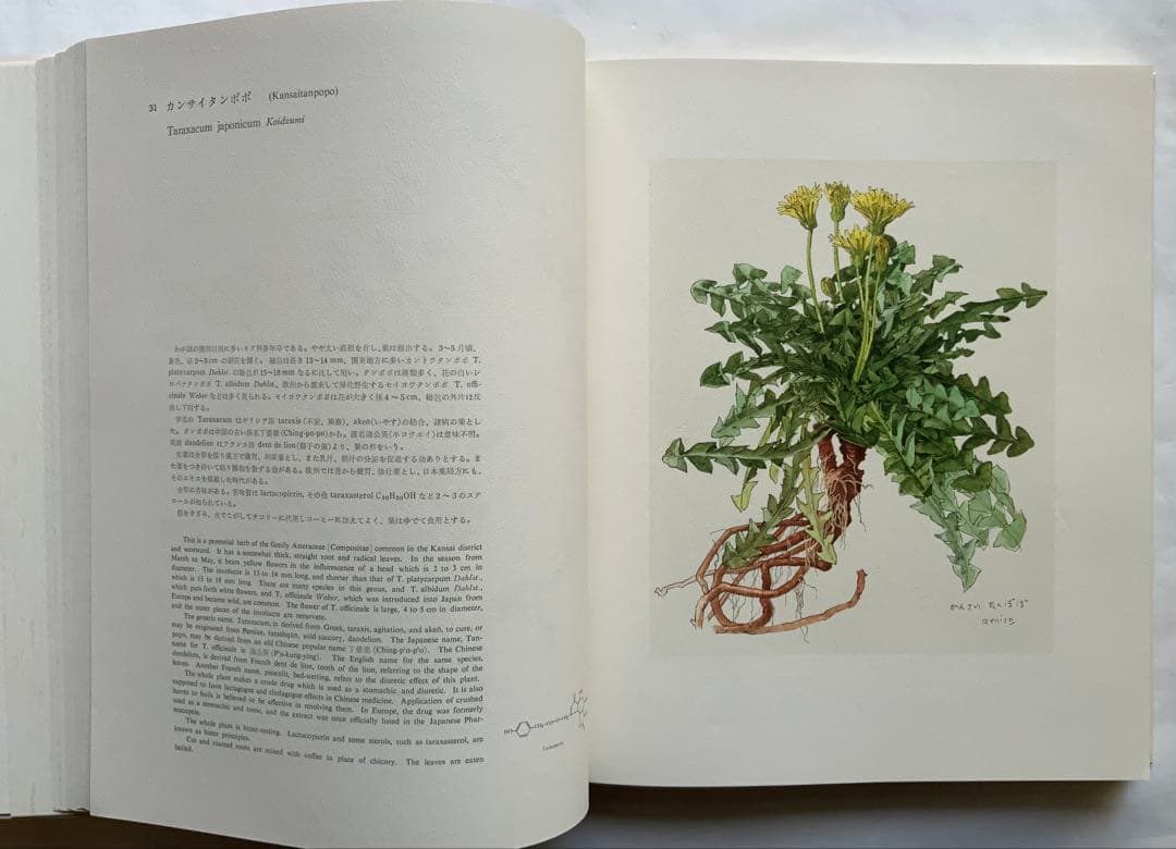 『薬用植物画譜』小磯良平文化勲章受賞記念　武田薬報表紙絵150点　刈米達夫　大型