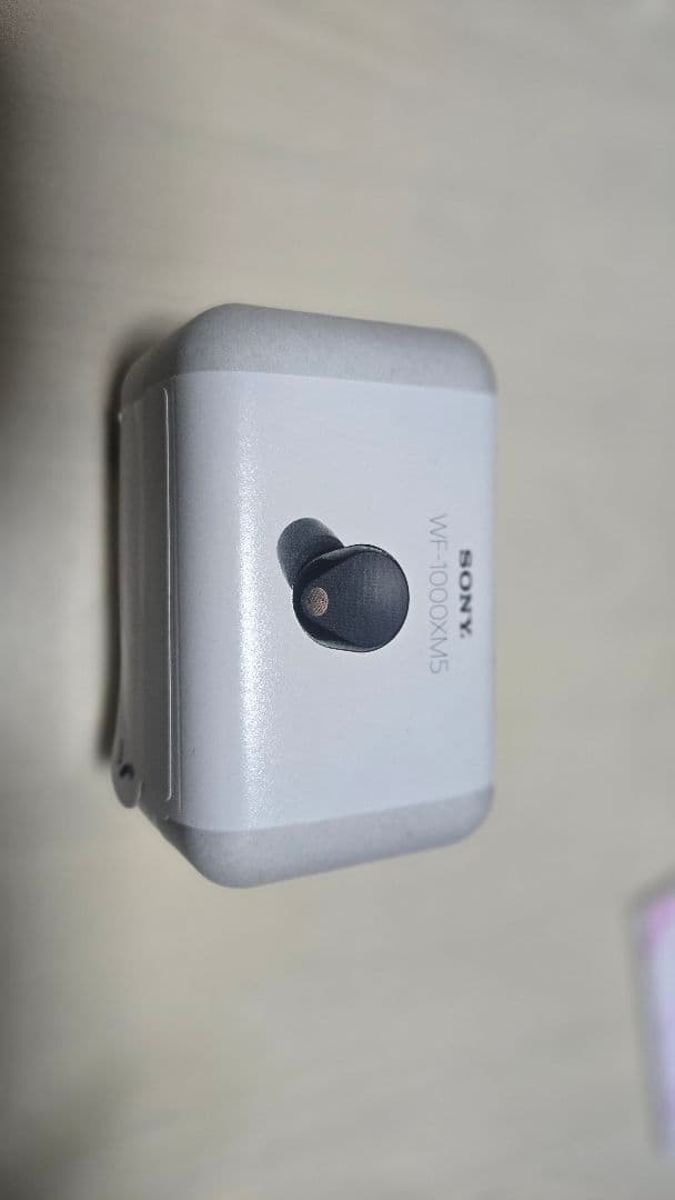 ソニー WF-1000XM5 ブラック 付属品完備 ワイヤレスイヤホン SONY