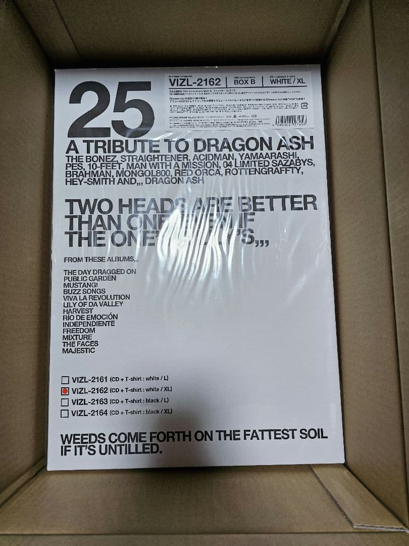 最終値下げ　25 -A Tribute To Dragon Ash-　BOX B