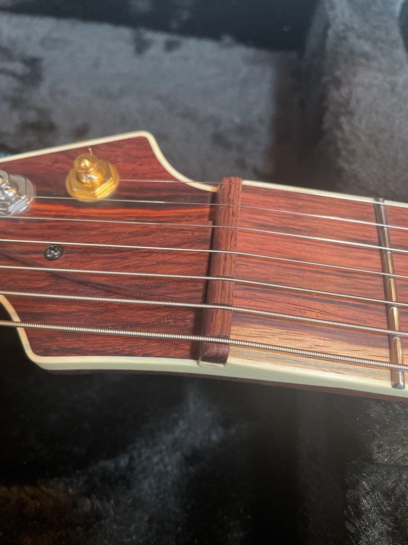 ギター blackmachine b7 clone