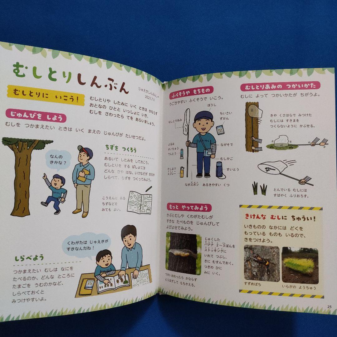 かがくのとも　ビッグサイエンス　キンダーブックしぜん　夏の虫とり大作戦