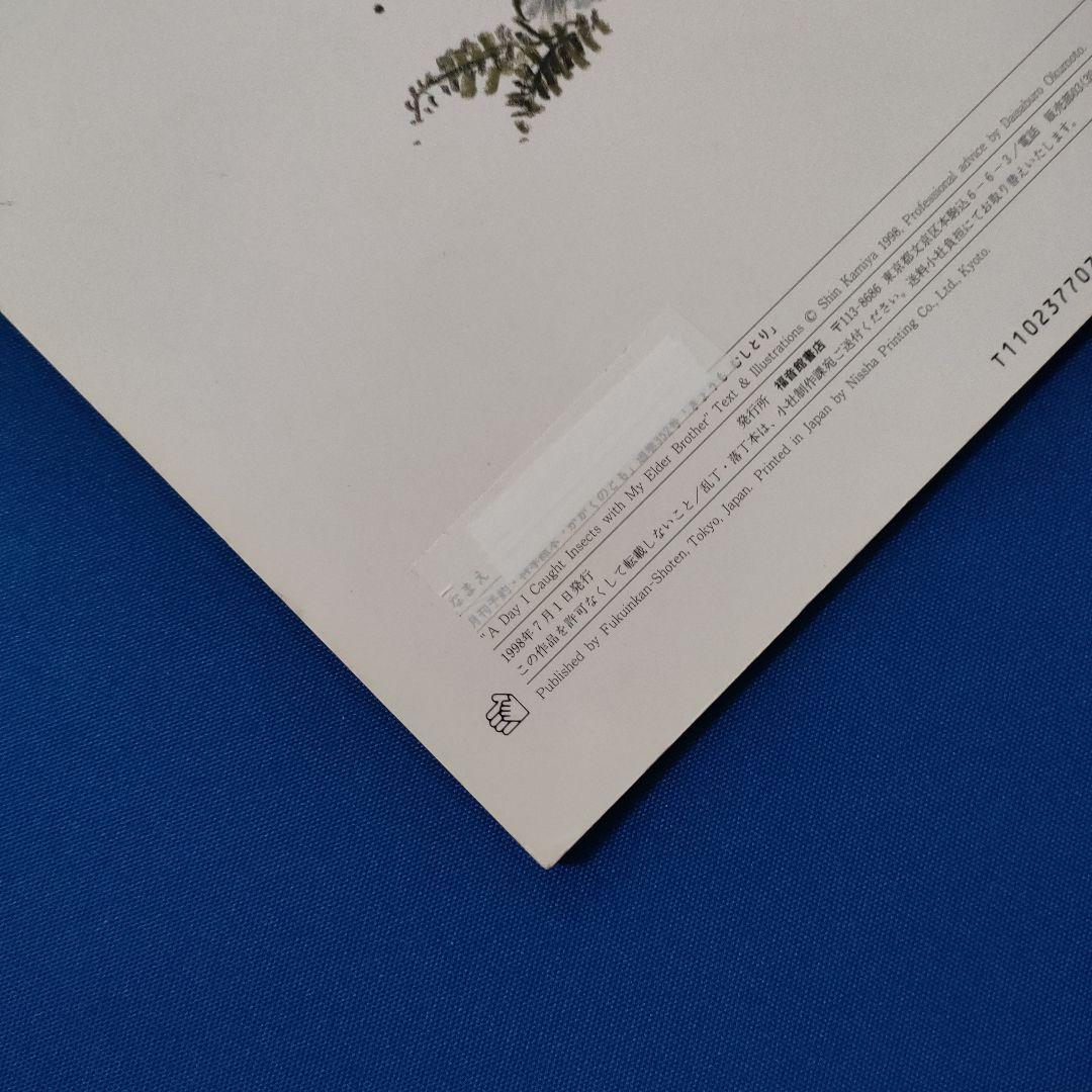 かがくのとも　ビッグサイエンス　キンダーブックしぜん　夏の虫とり大作戦
