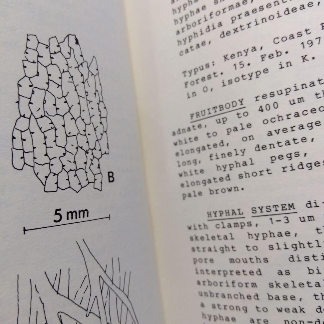 キノコ関係洋書　3冊セット