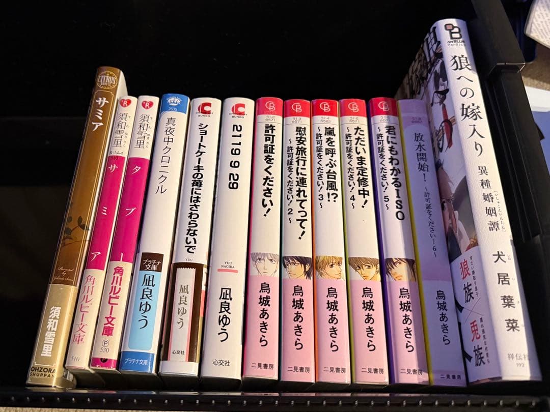 美品　小説　漫画　まとめ売り　BL 木原音瀬　凪良ゆう　箱の中　美しいこと