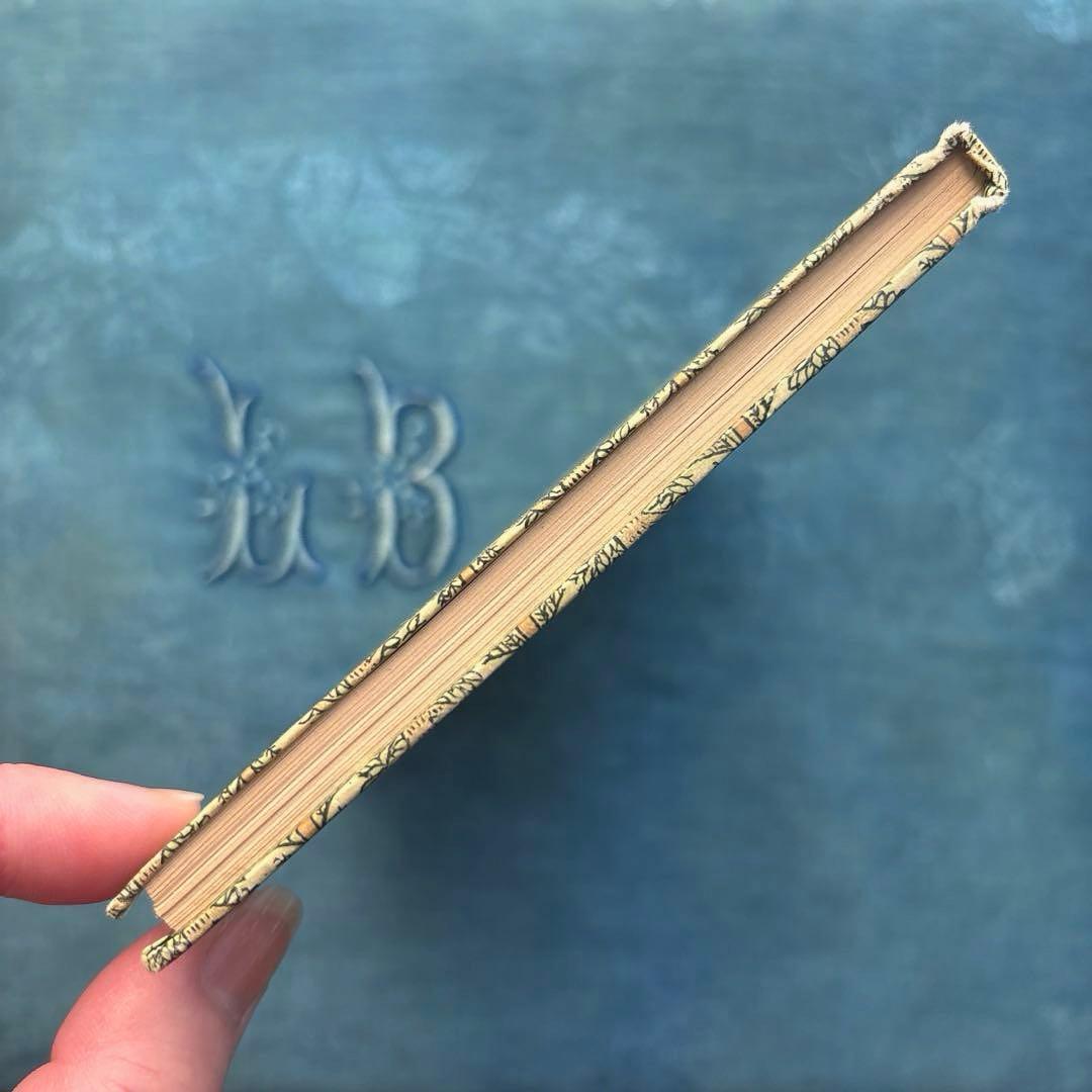 り*い様 ヴィンテージ ドイツ古書 洋書☘️インゼル文庫 316番 森の木