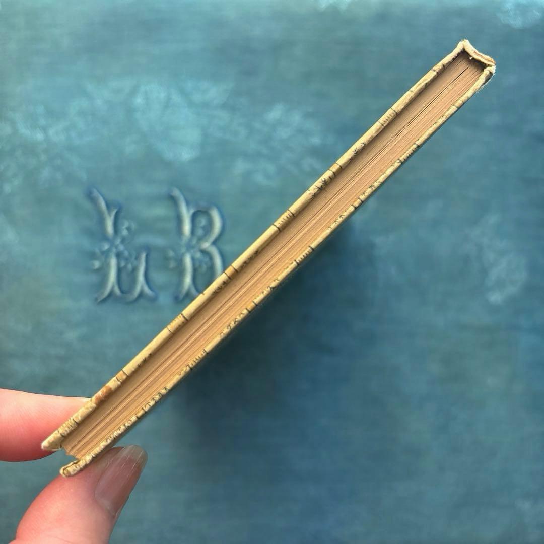 り*い様 ヴィンテージ ドイツ古書 洋書☘️インゼル文庫 316番 森の木
