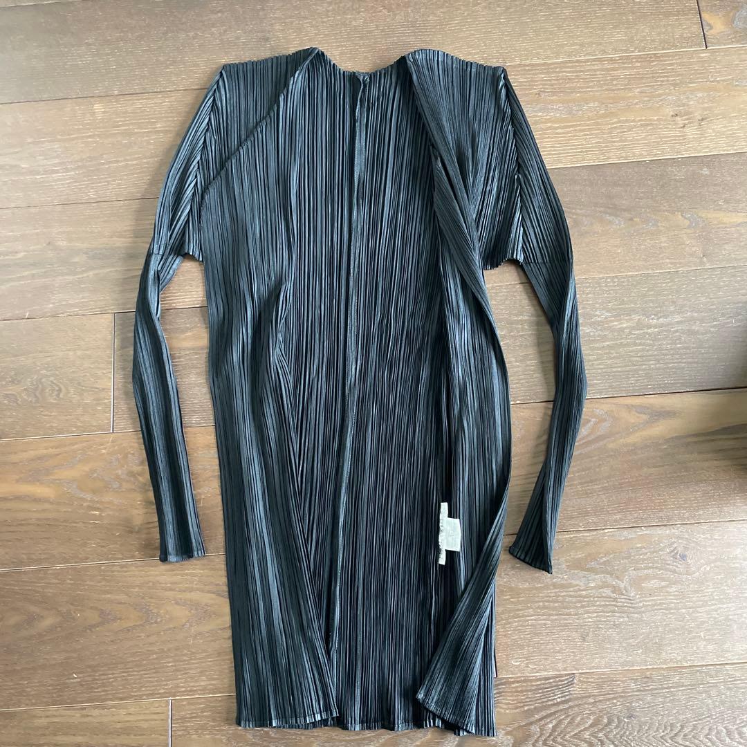 イッセイミヤケpleats please サイズ3