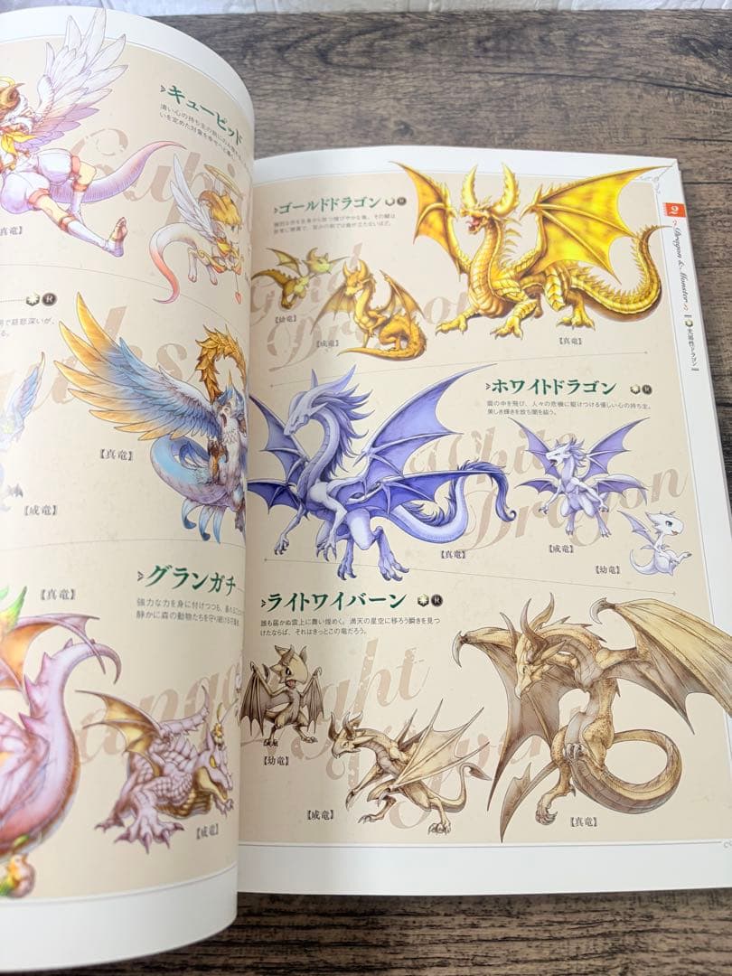 ナイツオブグローリーオフィシャルアートワークス 初版