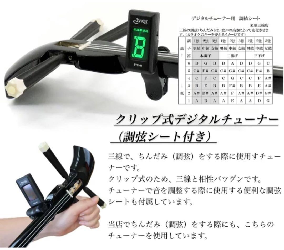 三線 沖縄三線セット 初心者用デザイン三線スタンダードセット