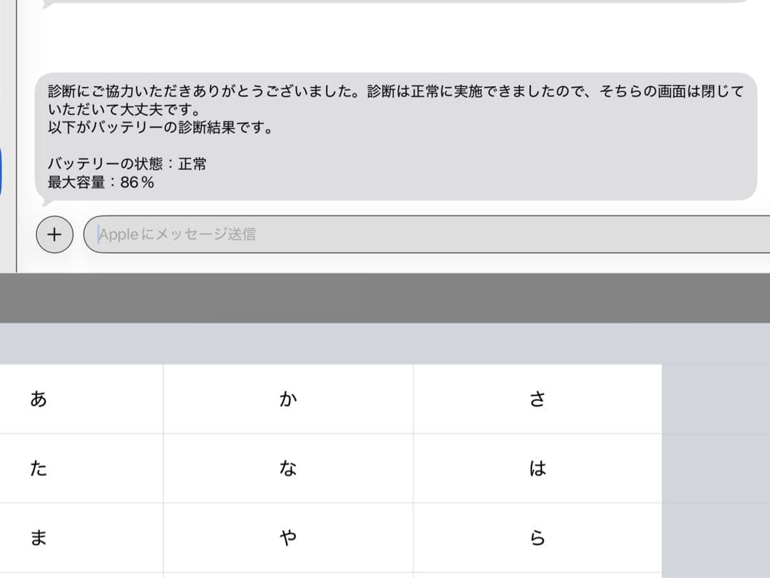Apple iPad Pro 12.9インチ 第6世代 128GB Wi-Fi