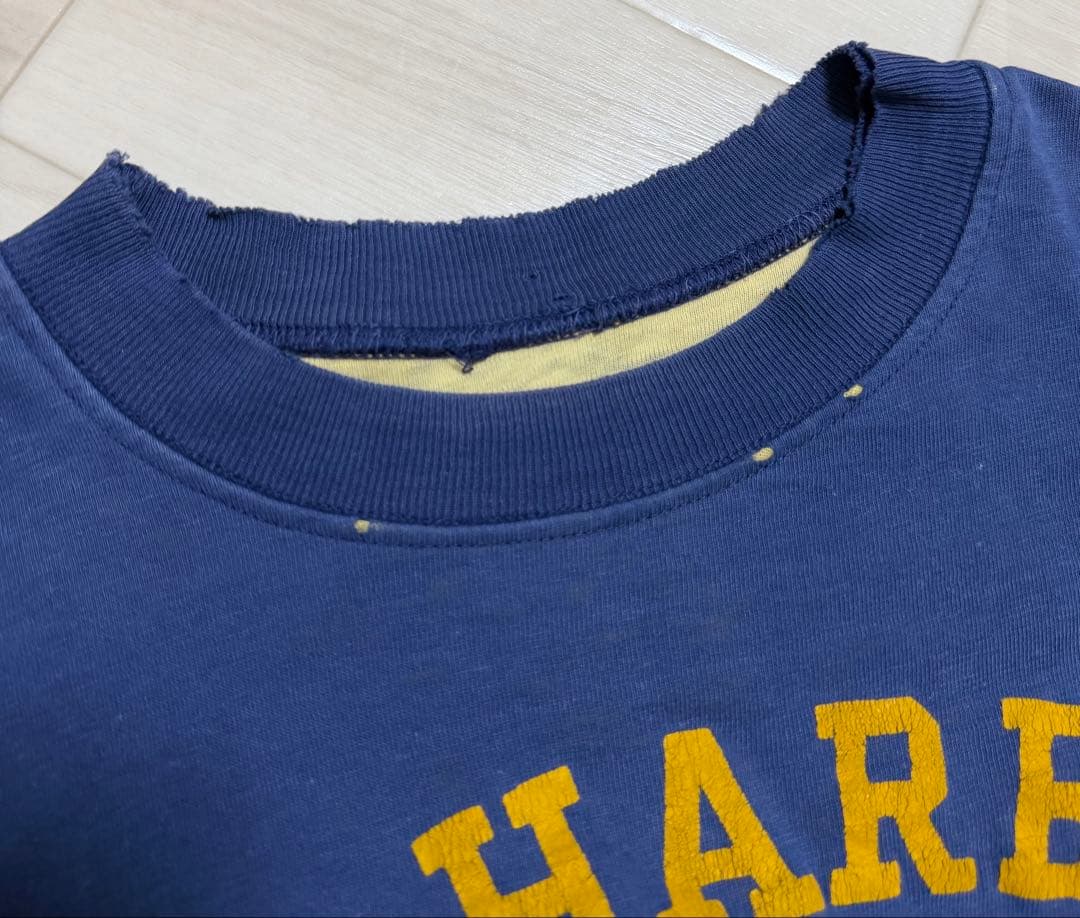 60s 70s ヴィンテージ リバーシブルtシャツ