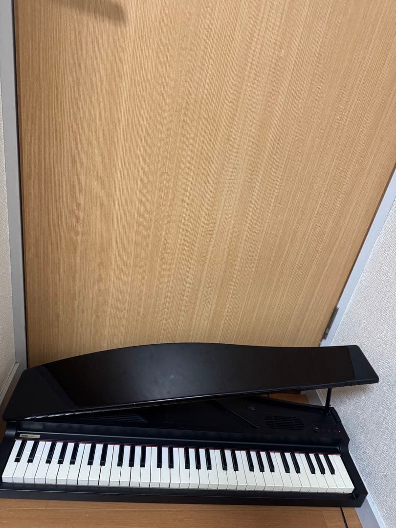 KORG コルグ　microPIANO マイクロピアノ　2019年製