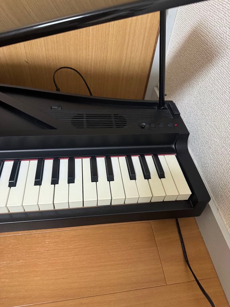 KORG コルグ　microPIANO マイクロピアノ　2019年製