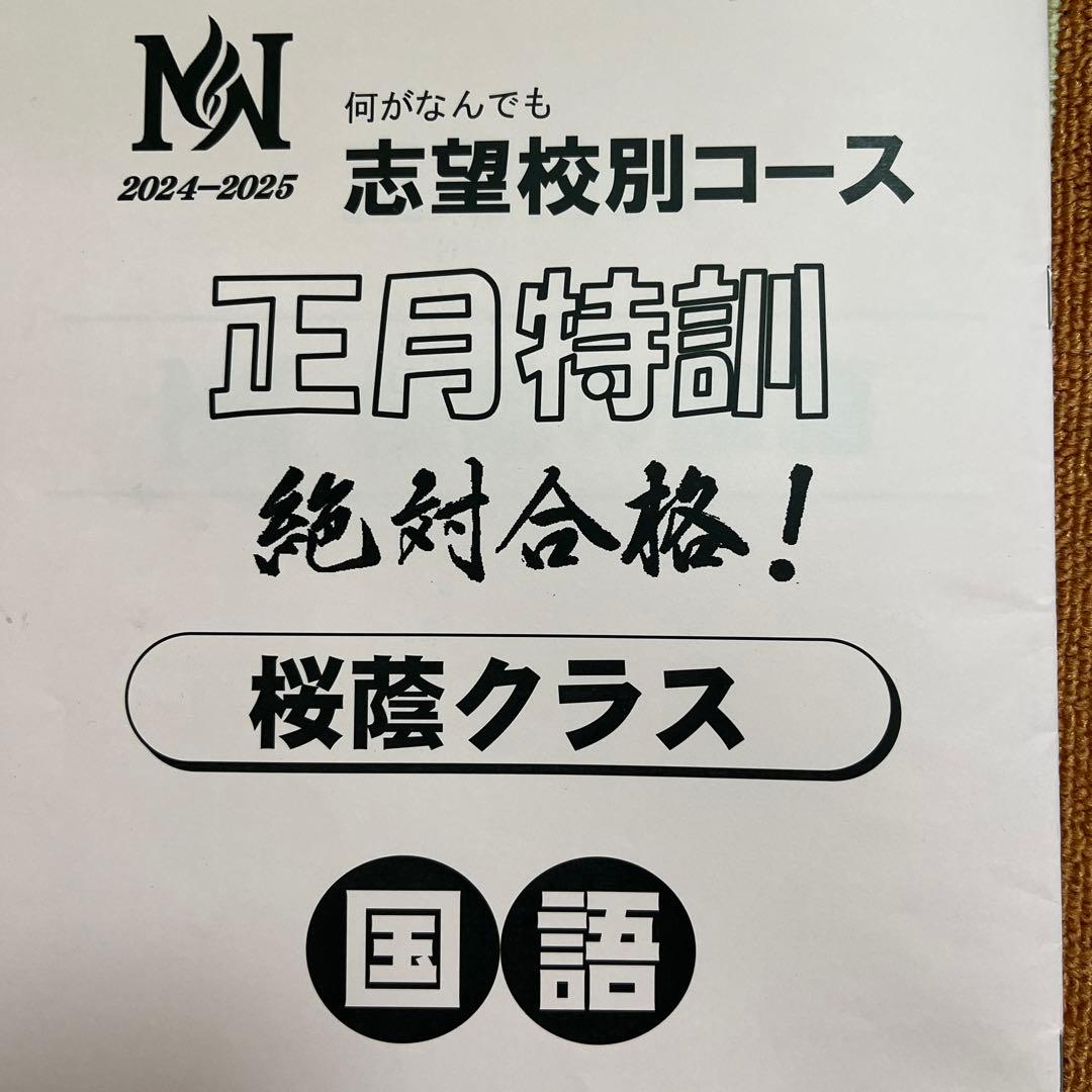 NN桜蔭正月特訓、直前期プリント