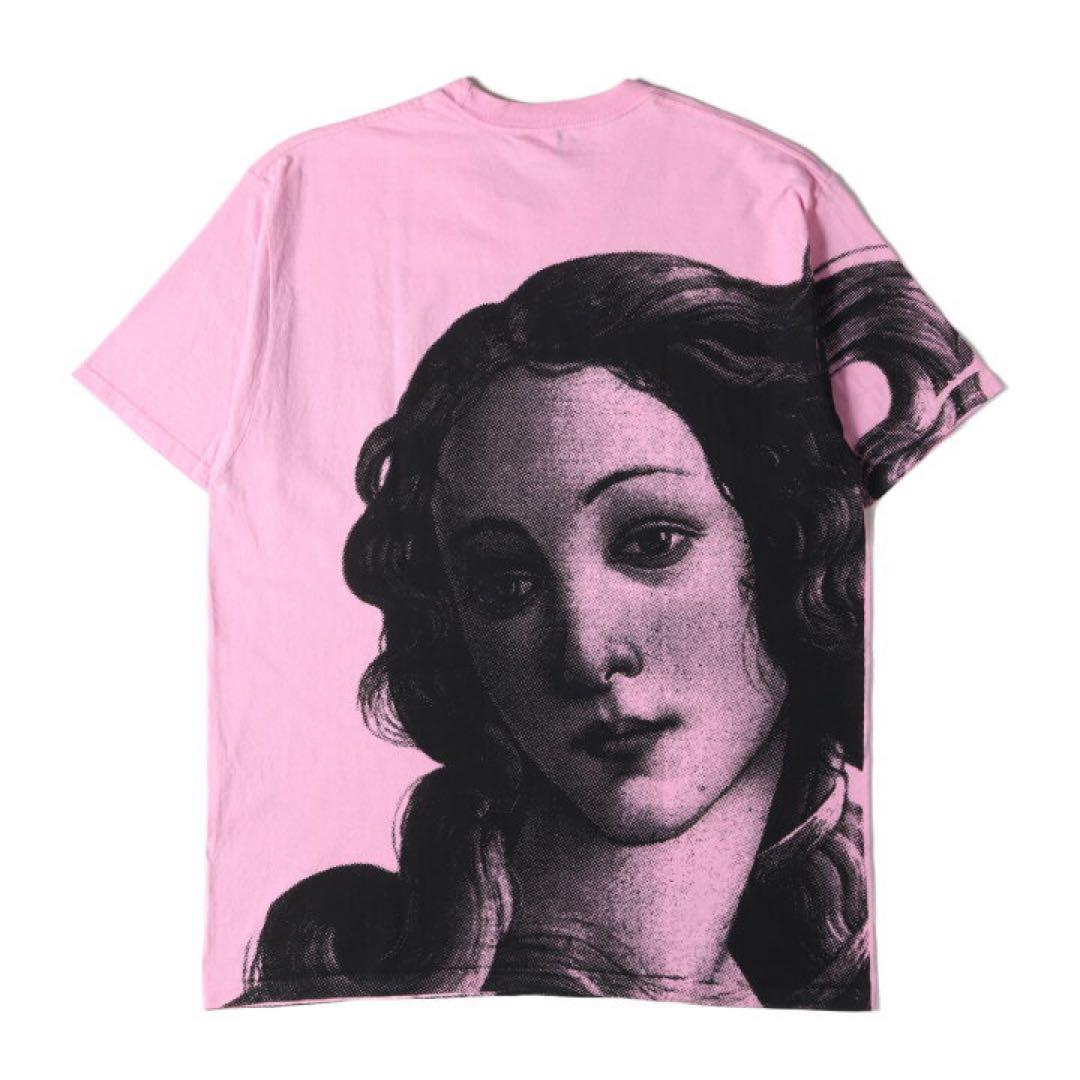 Stussy ピンク 肖像画 Tシャツ M