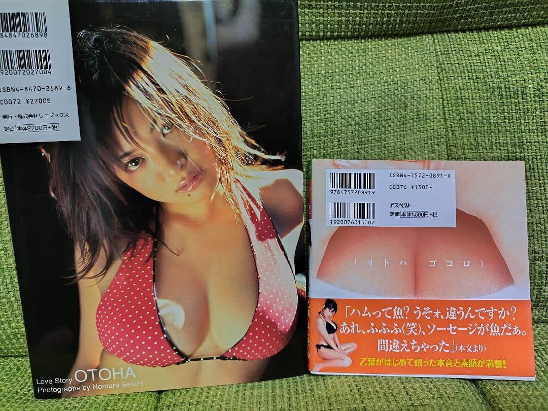 Love story 乙葉写真集 乙葉本 オトハゴコロ