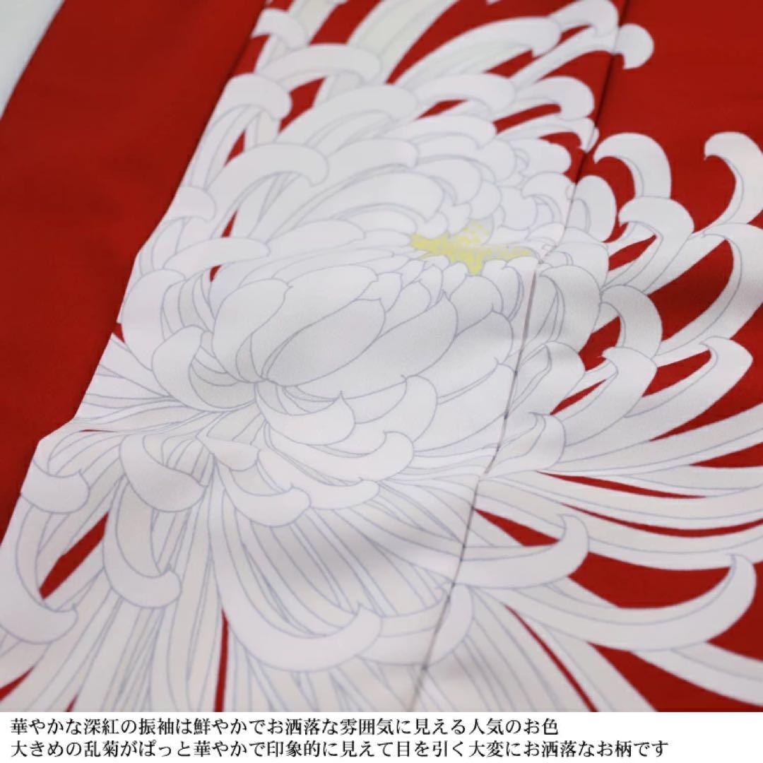新品 振袖単品 赤地に華やか乱菊