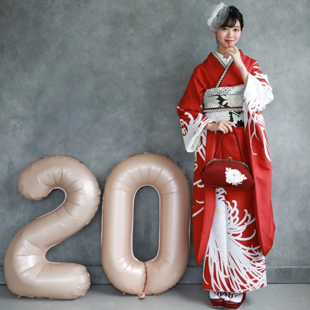 新品 振袖単品 赤地に華やか乱菊