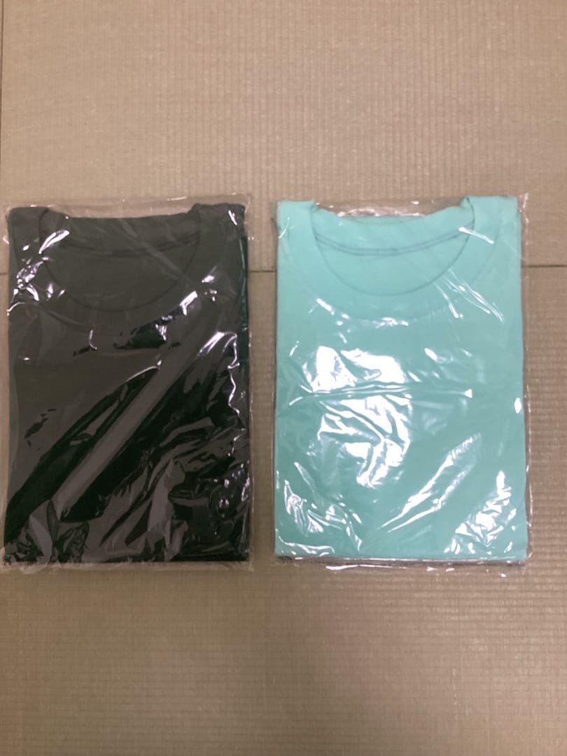 久米繊維 ビッグTシャツシャーベットグリーン フォレストグリーン フリーサイズ