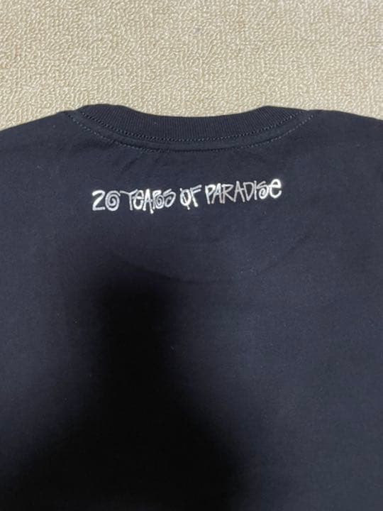 stussy Tシャツ　コラボ