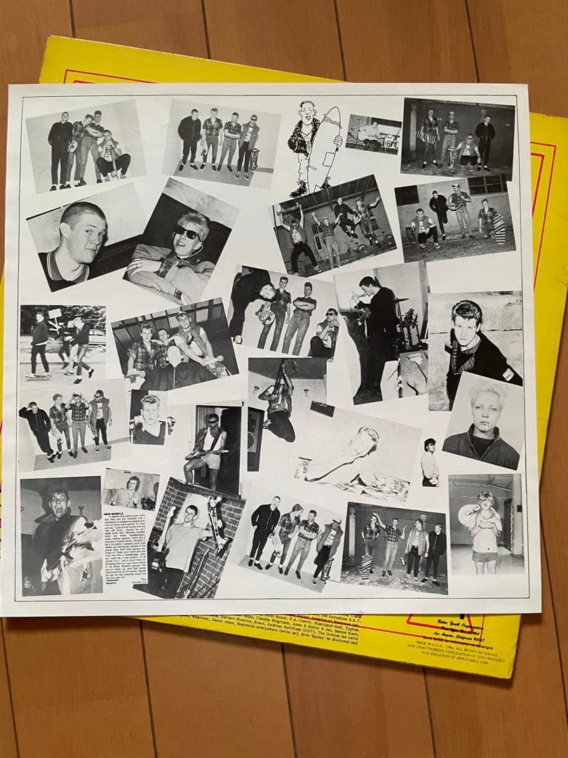 THE SMARTIES LP ハードコア　80s PUNK