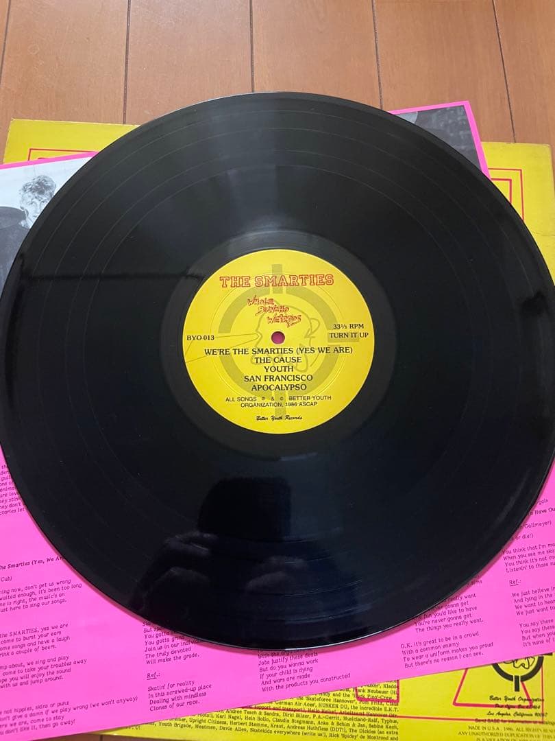 THE SMARTIES LP ハードコア　80s PUNK