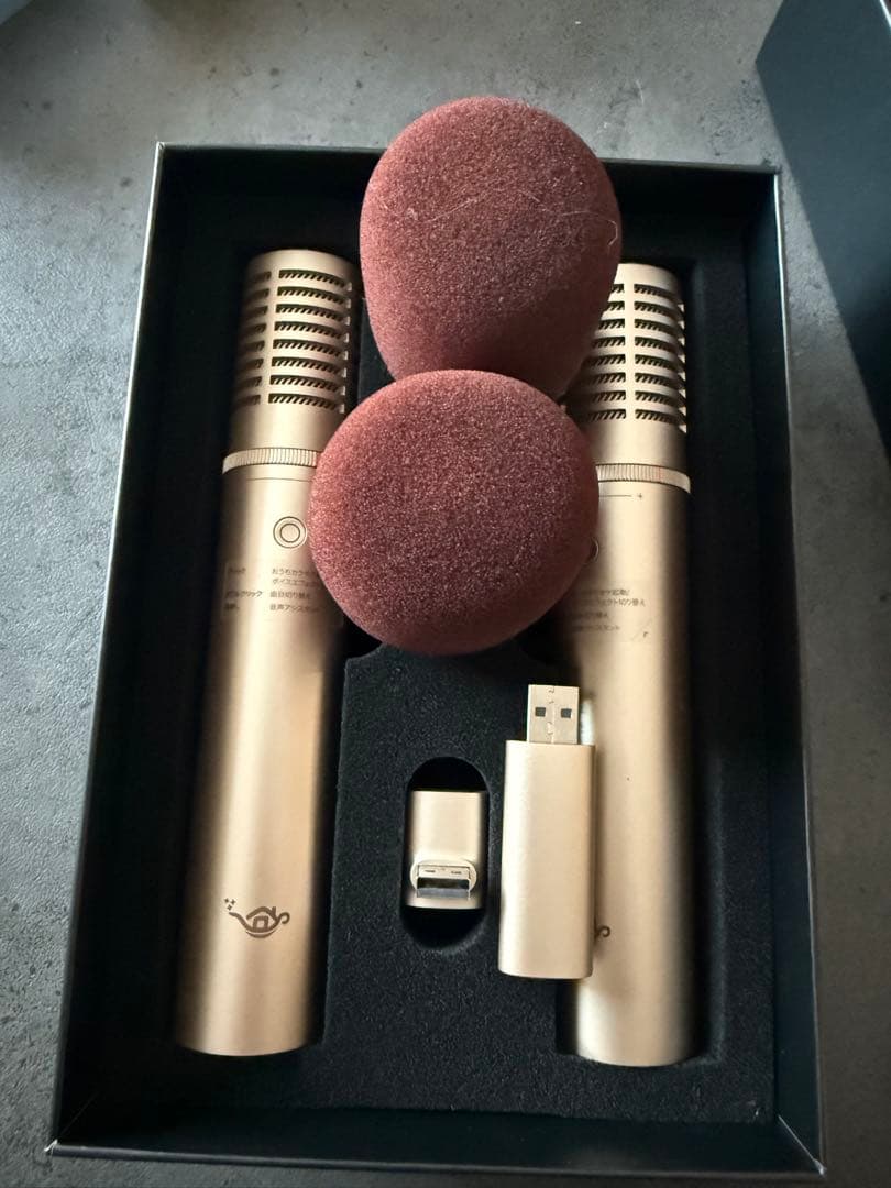 Aladdin MIC 2 ゴールド マイク 2本セット
