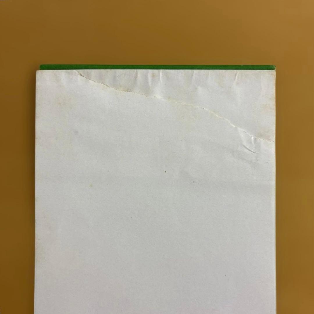 REAL LIFE /MAGAZINE 明日に撃て! マガジン　レコード