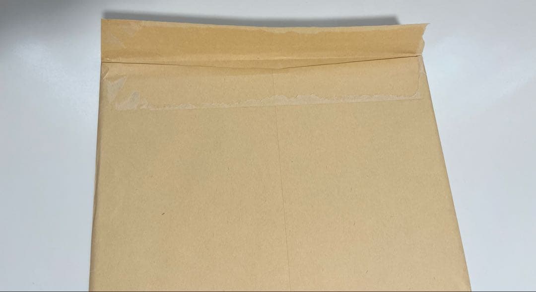 ワンピース 2億冊突破記念キャンペーン ビブルの秘宝② 名シーン複製原稿 エース