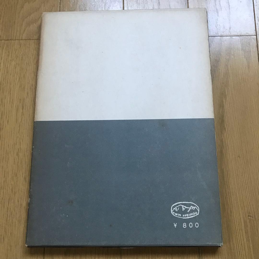 白川義員　白い山
