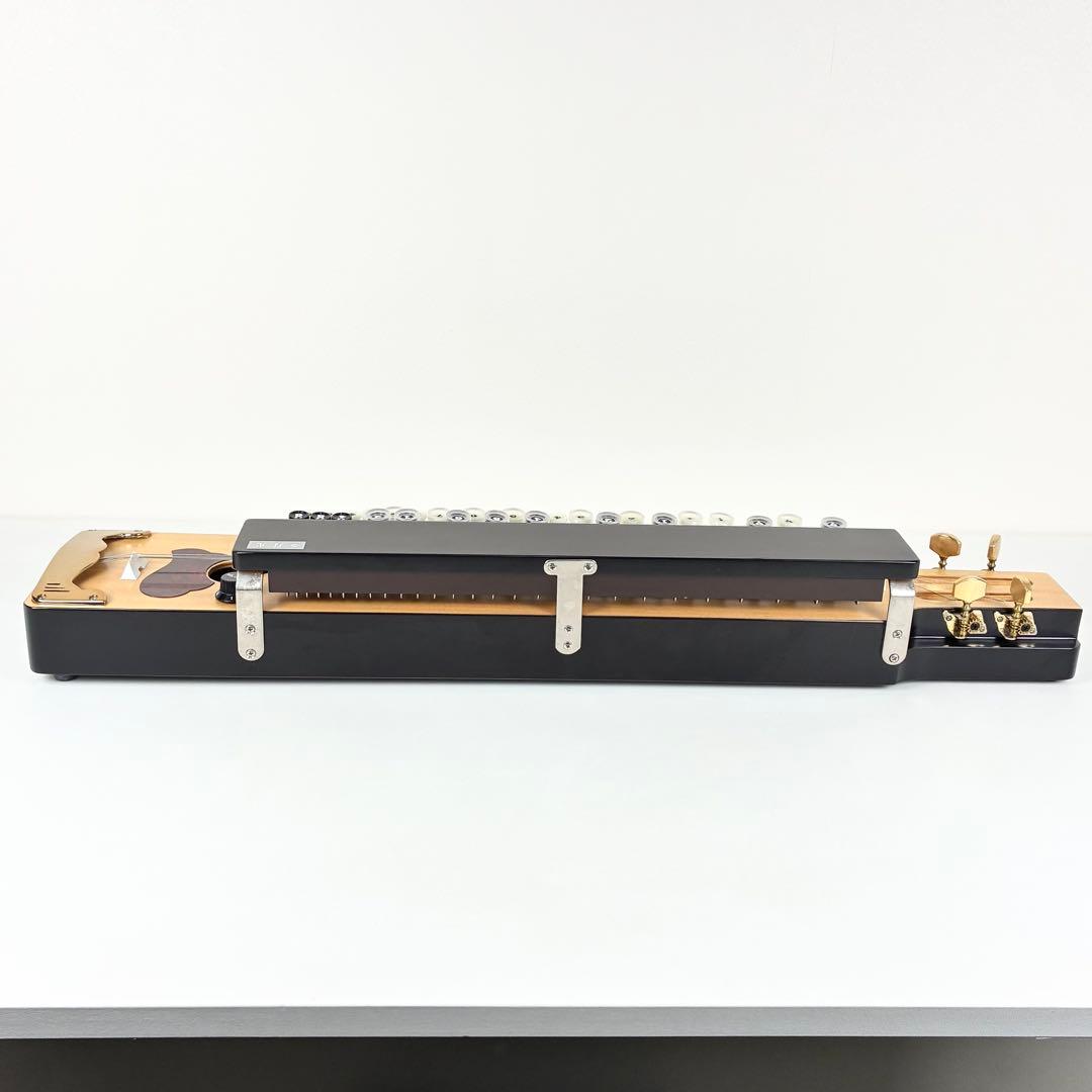 大正琴 月光 電子琴 エレキ ソフトケース 付 琴伝流 ソプラノ