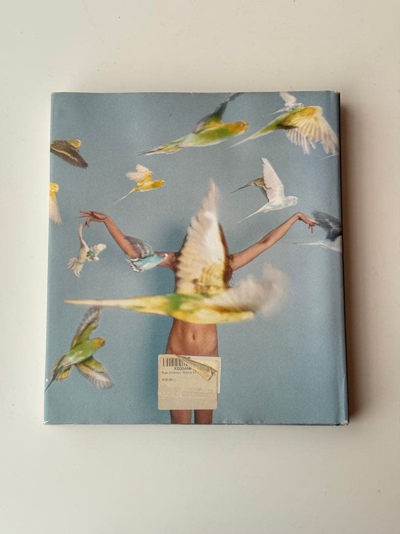 アート・デザイン・音楽 Whistle for the Wind / RYAN MCGINLEY