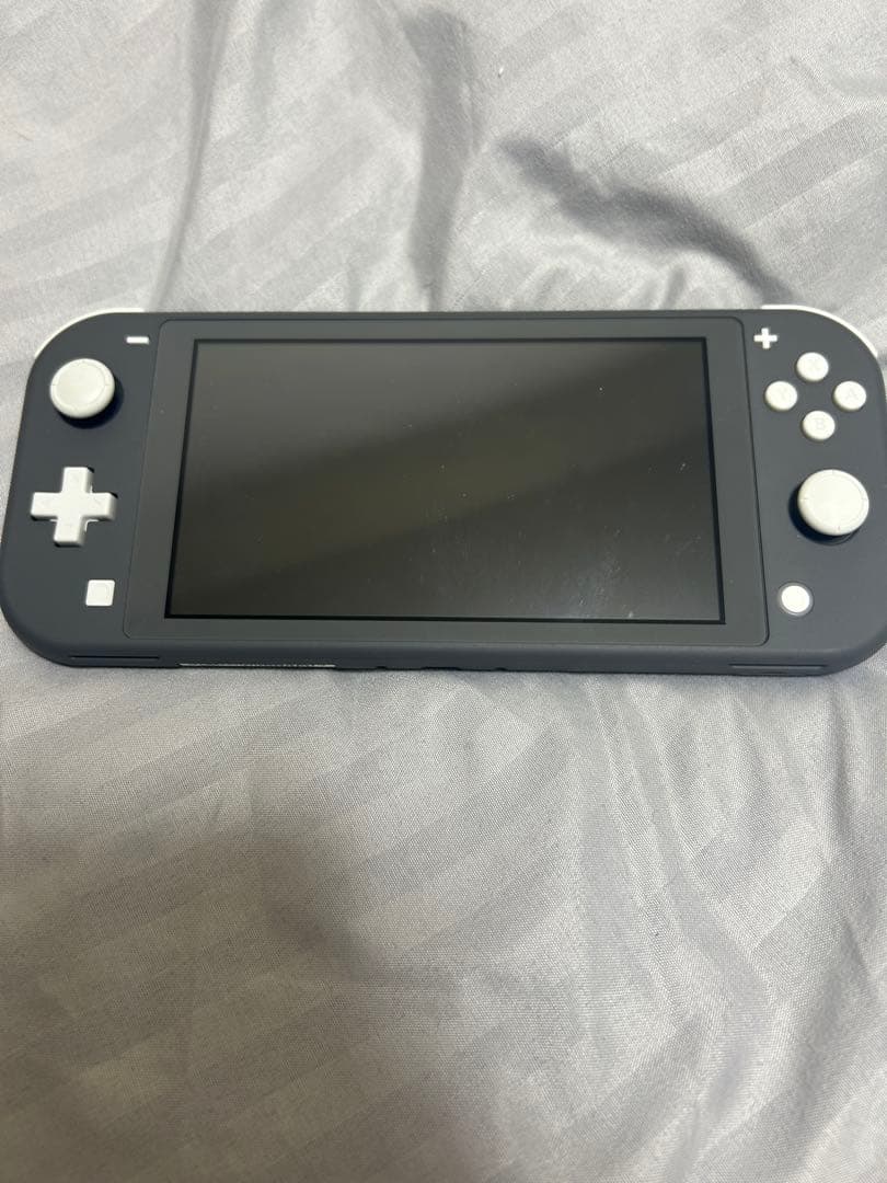 Nintendo Switch Lite グレー 本体とソフト付き