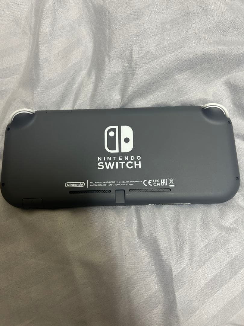Nintendo Switch Lite グレー 本体とソフト付き