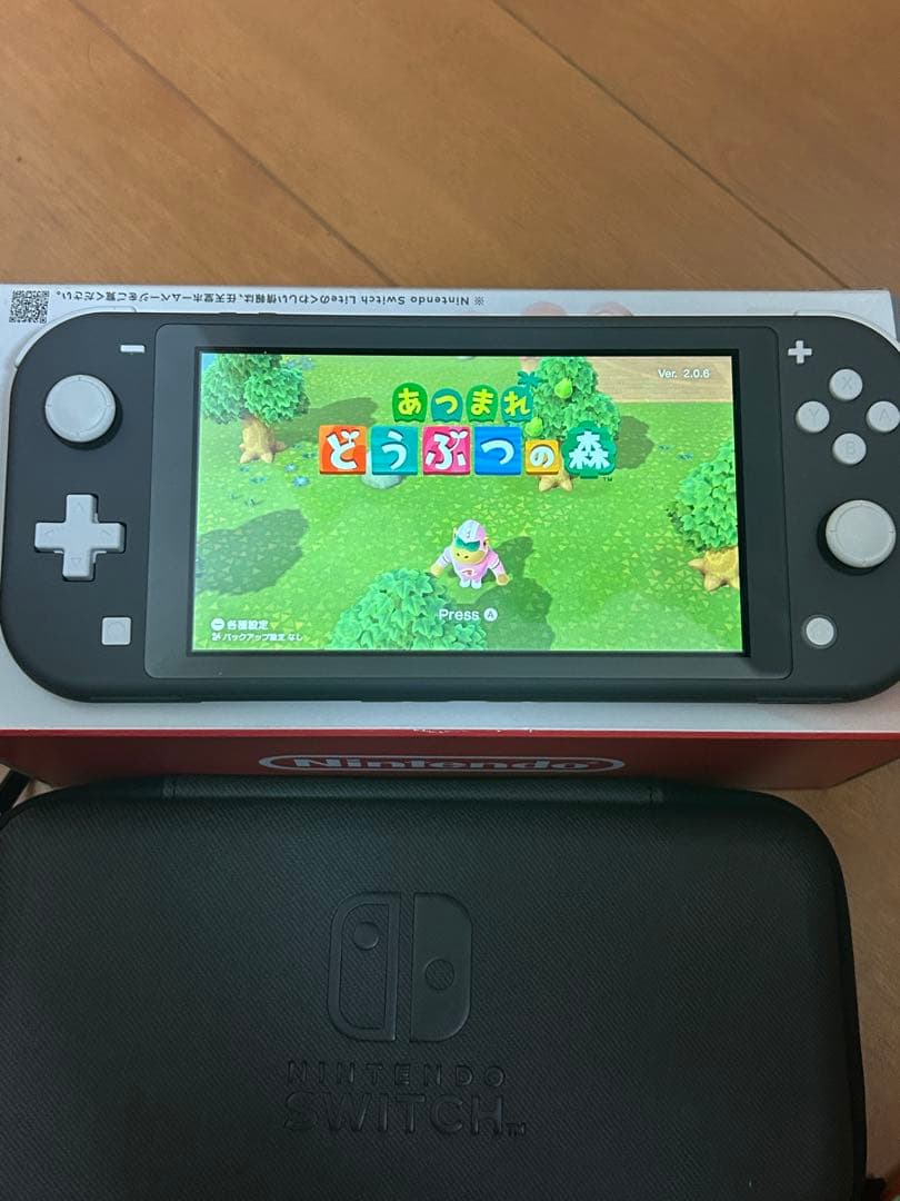 Nintendo Switch Lite グレー 本体とソフト付き