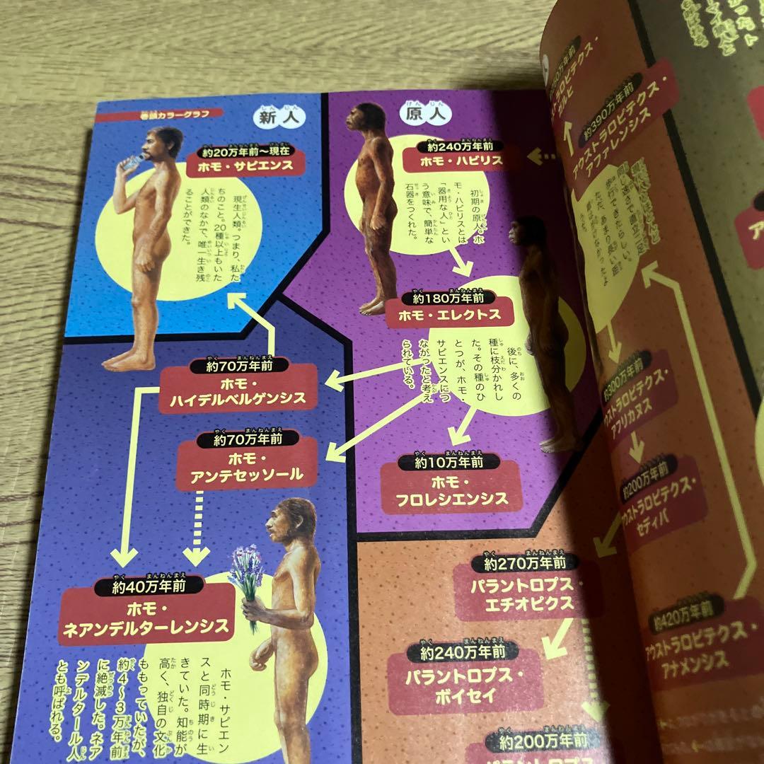 ドラえもん科学ワールド　20巻セット