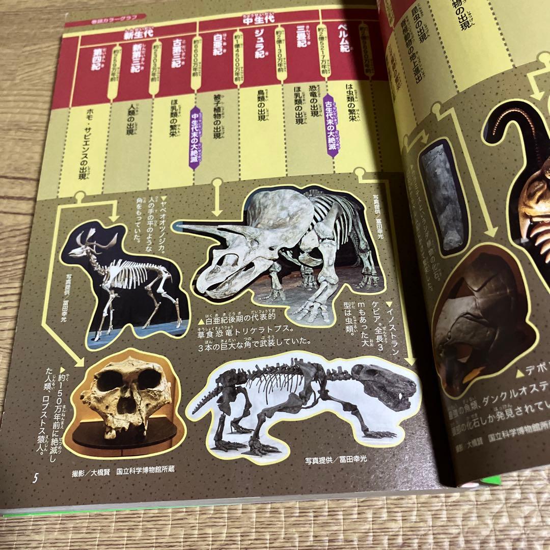 ドラえもん科学ワールド　20巻セット