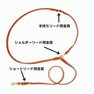 黒スケ　新品　Molly&Stitch リード＆ハーネス