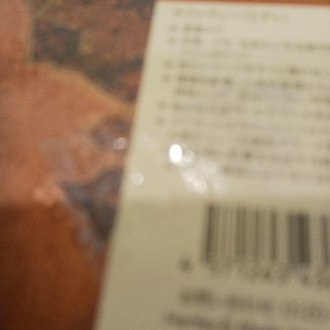 paperblanks エスニックデザイン ノート ミディ2冊セット