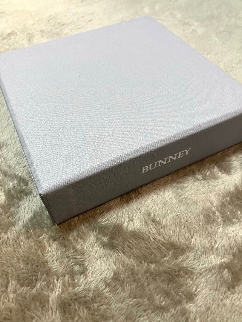 【保証書付き❗️】BUNNEY シルバー ネックレス L silver925