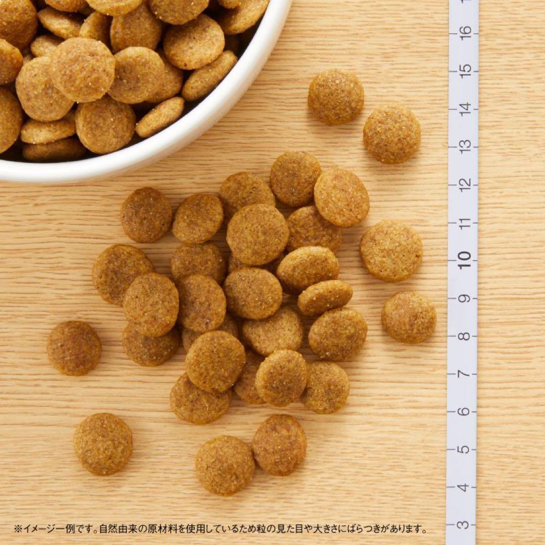 ナチュラルチョイス 中型犬~大型犬成犬　チキン&玄米 15kg ニュートロ