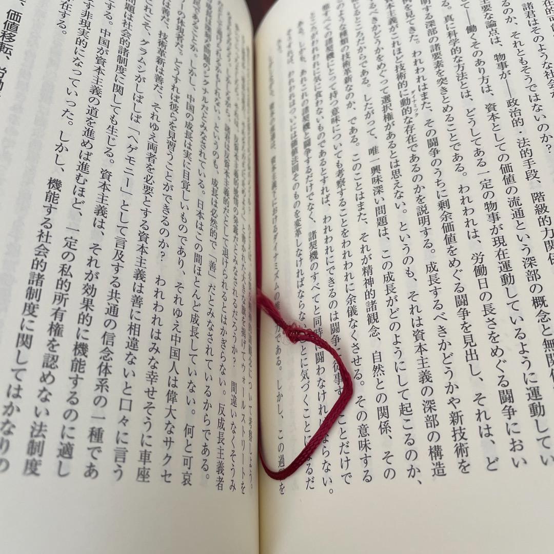 デヴィッド・ハーヴェイ 資本論 入門 2冊セット （帯つき）
