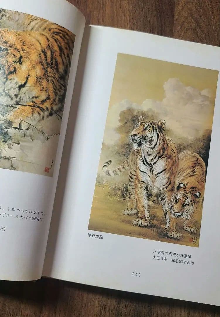 【状態良】貴重　大橋翠石 岐阜県郷土画人伝 青木彌太郎著 昭和56年